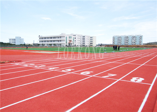 陆丰市东海镇溢智中学新国标复合型塑胶跑道